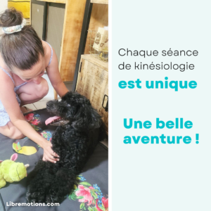 Chaque séance de kinésiologie est unique