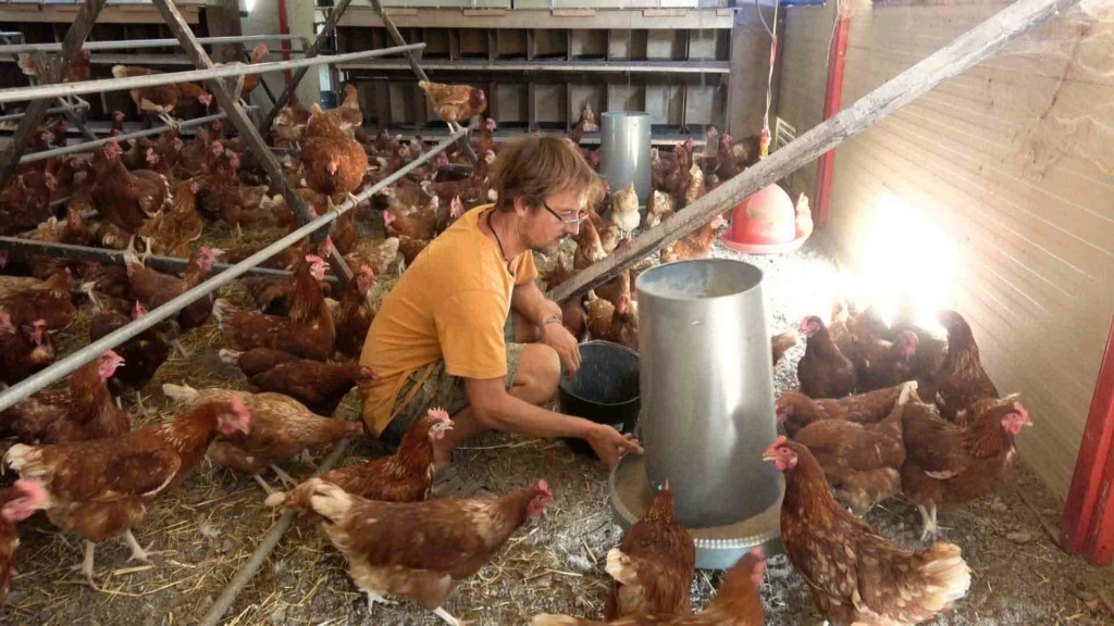 Je vous invite à découvrir le quotidien de Nicolas, éleveur de poules aux œufs bio.