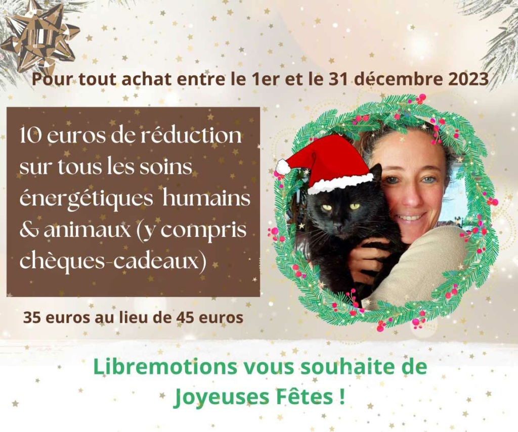 Libremotions-vous-souhaite-de-Joyeuses-Fêtes-!