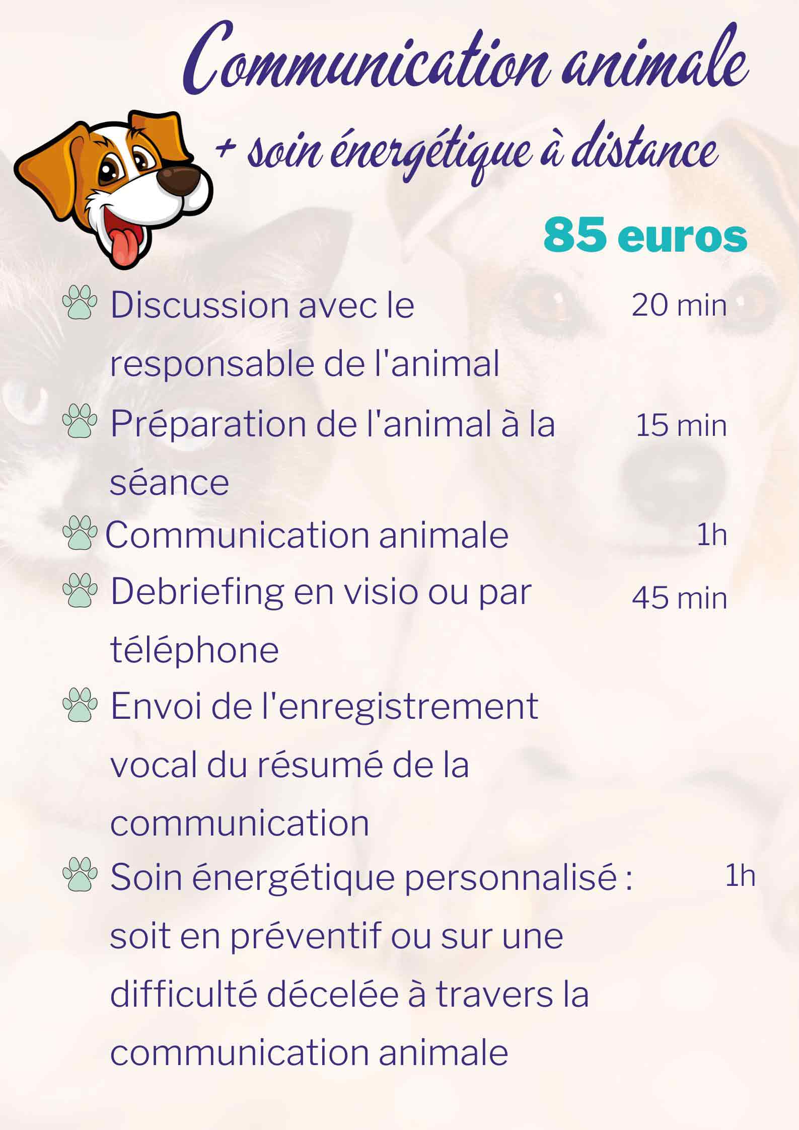 communication animale Montpellier