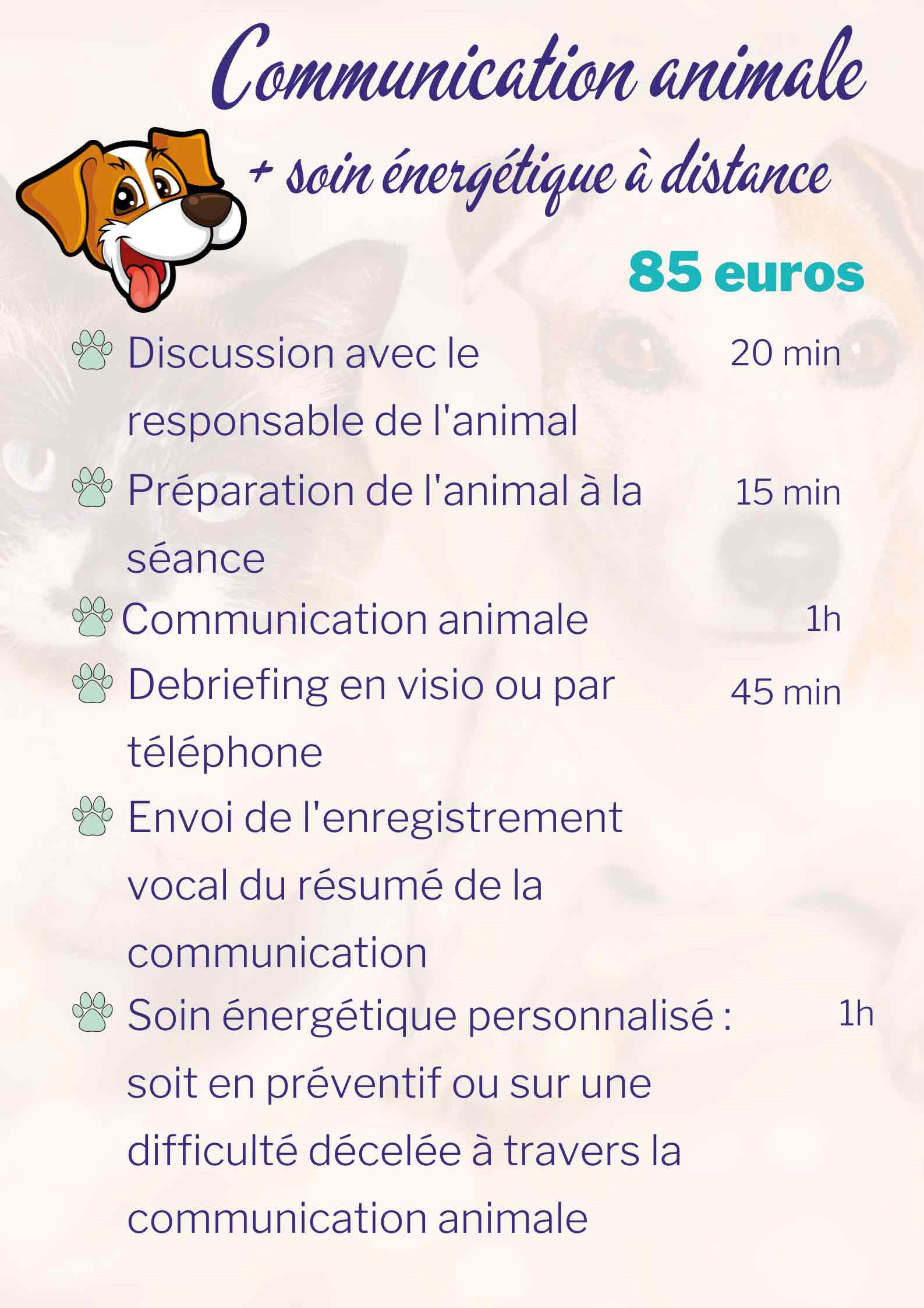 tarif3 communication animale Montpellier