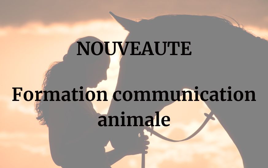 Formation communication animale à Ganges