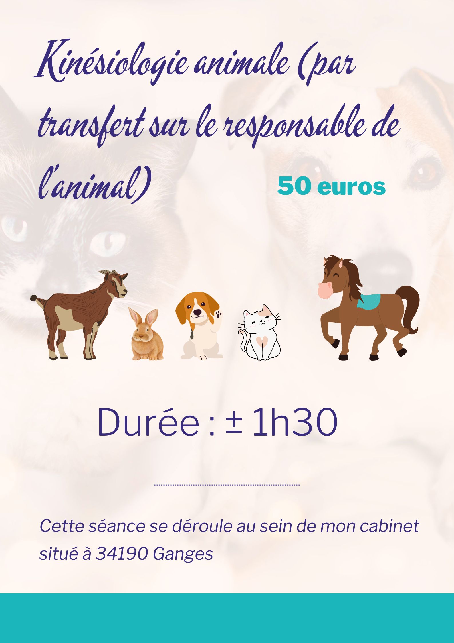 kinésiologie animale