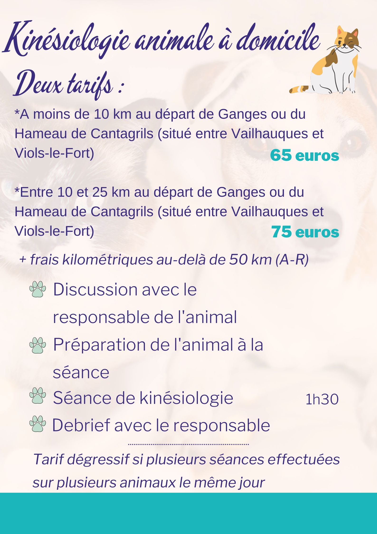 xr:d:DAFRQyxKdW4:286,j:2002274777093458295,t:24041313 kinésiologie animale a domicile