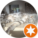 Charlotte D. profile picture